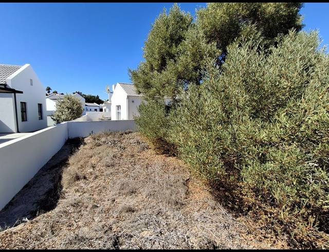 LAND FOR SALE IN SHELLEY POINT